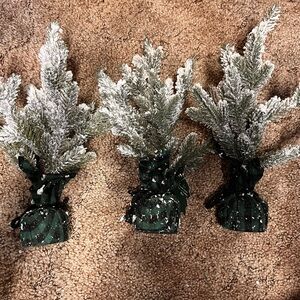 Christmas Trees